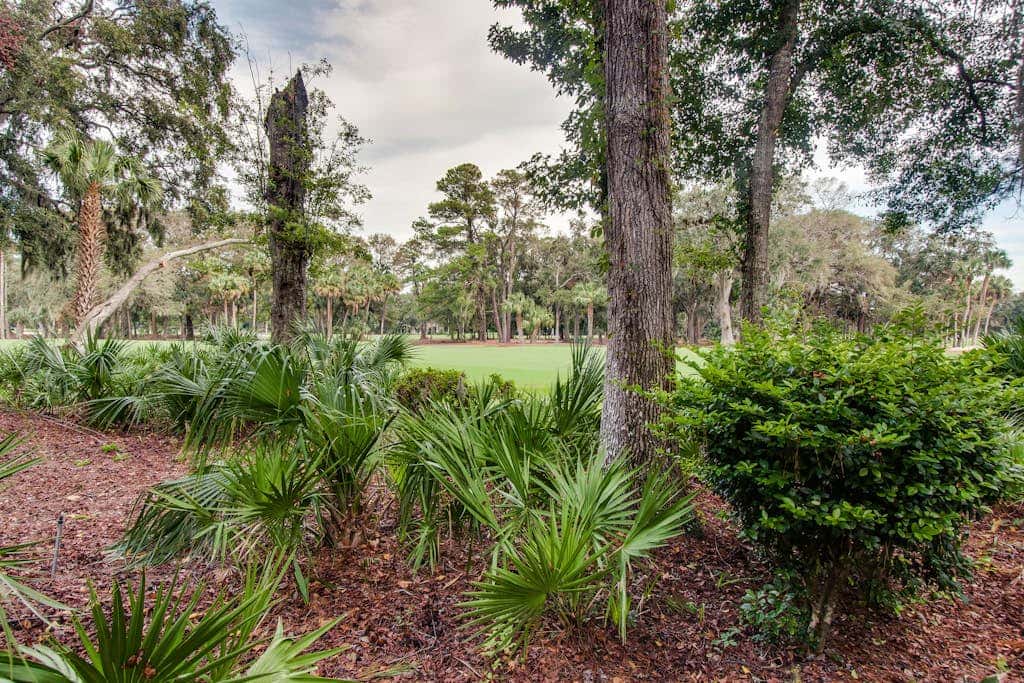 Ground level condo with pool, golf & Sea Pines Beach Club access