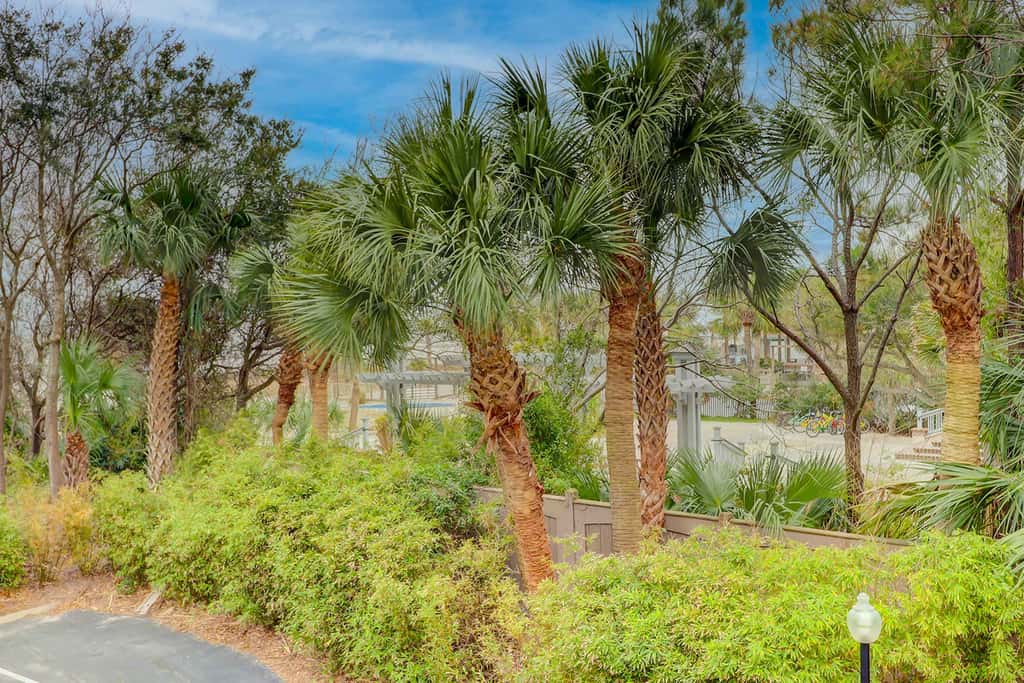 Beach-view condo in oceanfront complex with outdoor pool, beach access & balcony