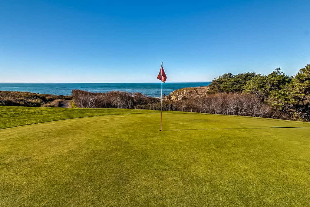 Eurella Estate - Esherick-designed home with private hot tub near Black Point, dogs welcome