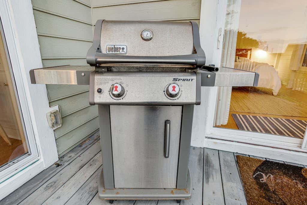 Otter's Rest - Gualala blufftop cottage with fireplace & grill, dogs welcome
