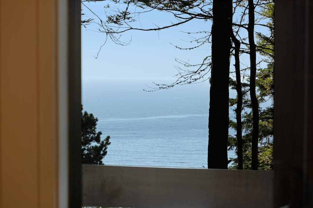 Tree House - Sea Ranch home with deck & grill near Shell Beach, dogs welcome