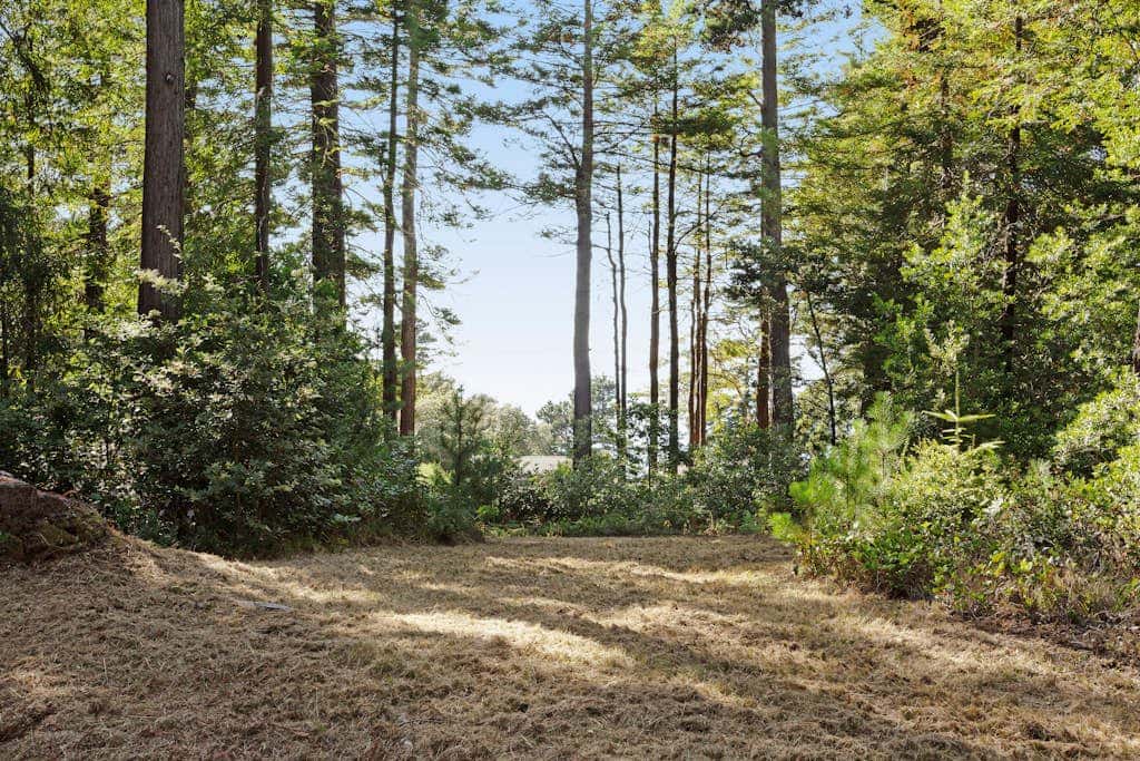 Tree House - Sea Ranch home with deck & grill near Shell Beach, dogs welcome