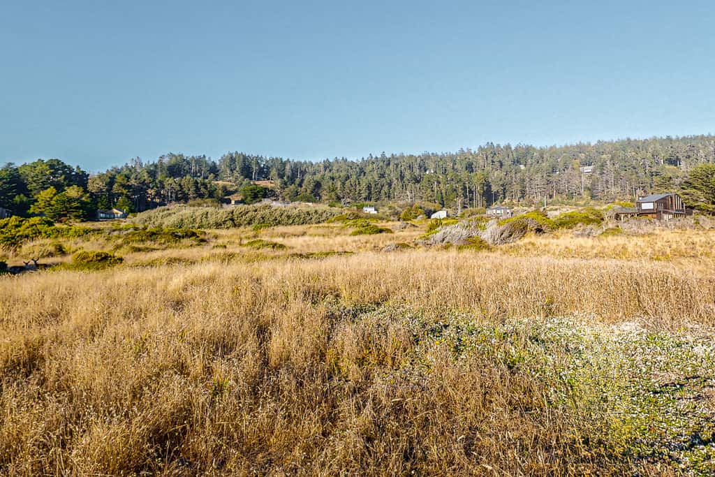 Bowsprit Retreat - Oceanfront Sea Ranch home with hot tub & deck, dogs welcome