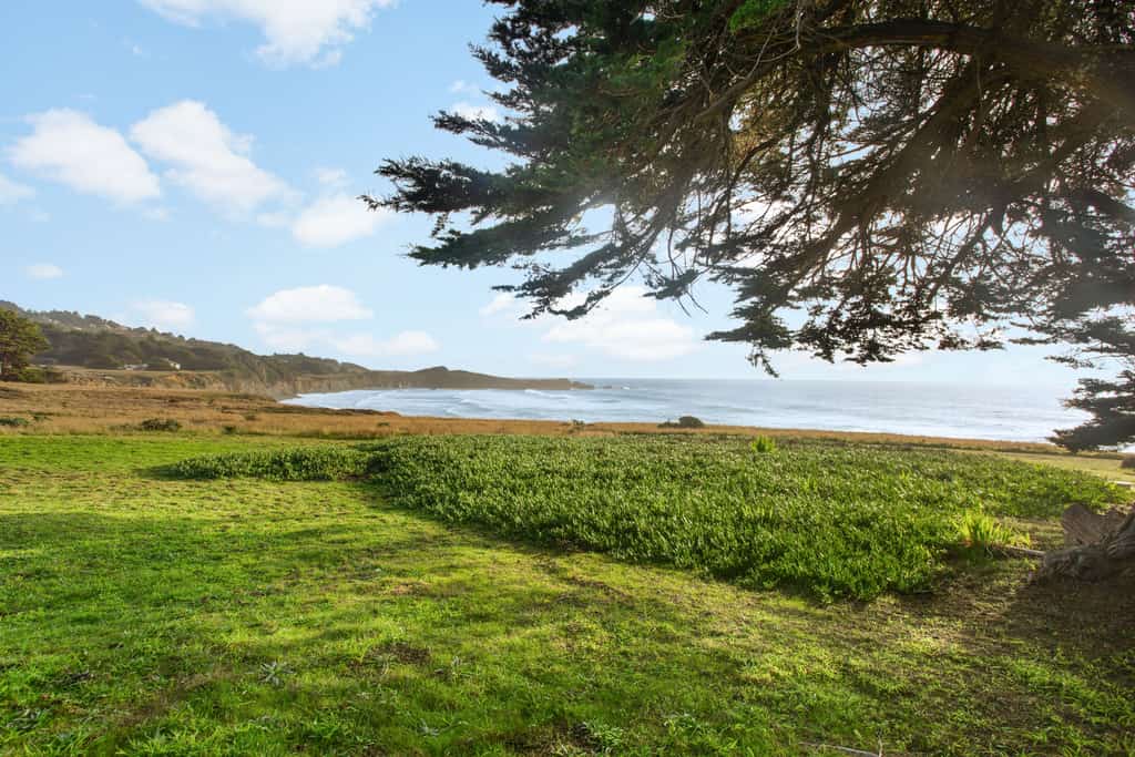 The ocean is your backyard -- hear the waves from every room in this coastal haven. Bring your pup -- dogs love the bluff trails here. A warm fire and ocean views anchor cozy evenings in. Room for 8 in this 3-bedroom home. Near the heated community pool. Sea Ranch's iconic trails, tidepools, and heated pools are all at your doorstep. The rugged Sonoma coastline unfolds from the deck -- raw, dramatic, and endlessly watchable.