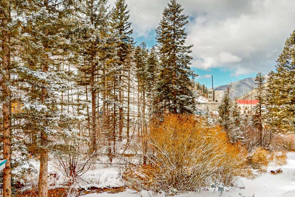 Sierra Del Sol 36 - Hot Tub, Walk to Lifts & Town