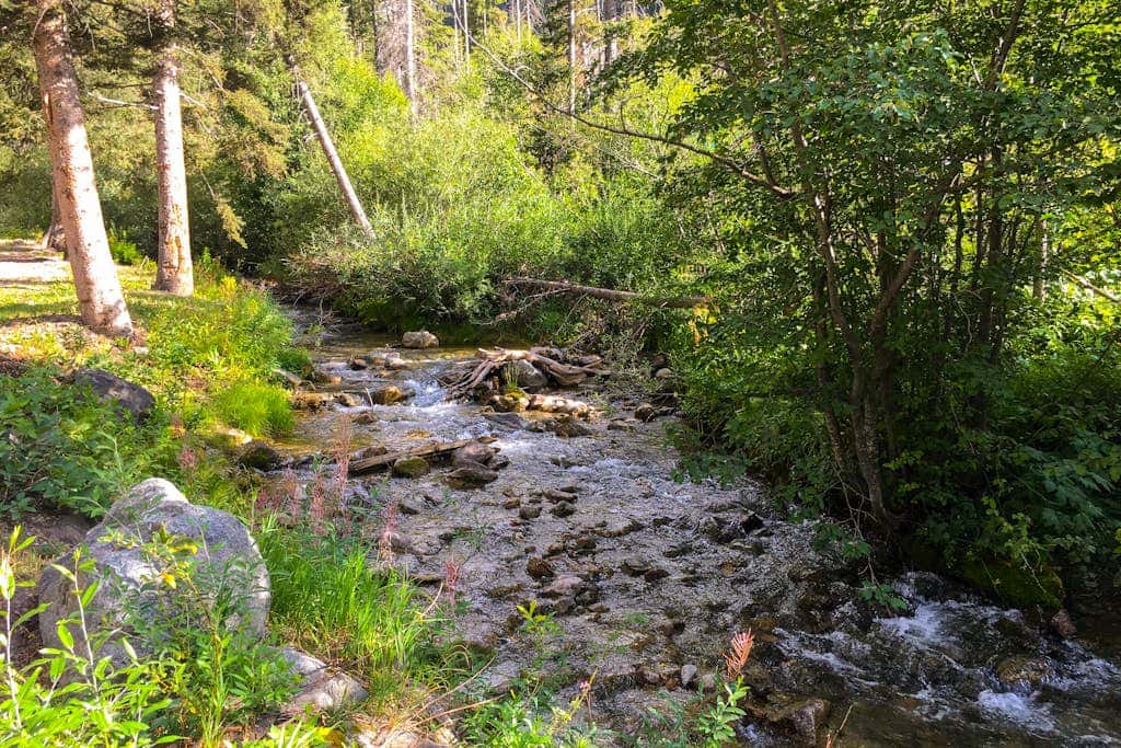 Sierra Del Sol 5 - Hot Tub, Walk to Lifts & Town
