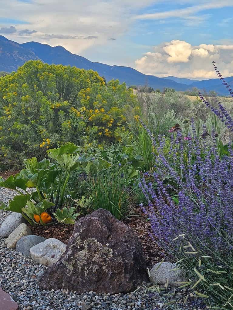 Hora Feliz - Mountain Views, Hot Tub & Game Room