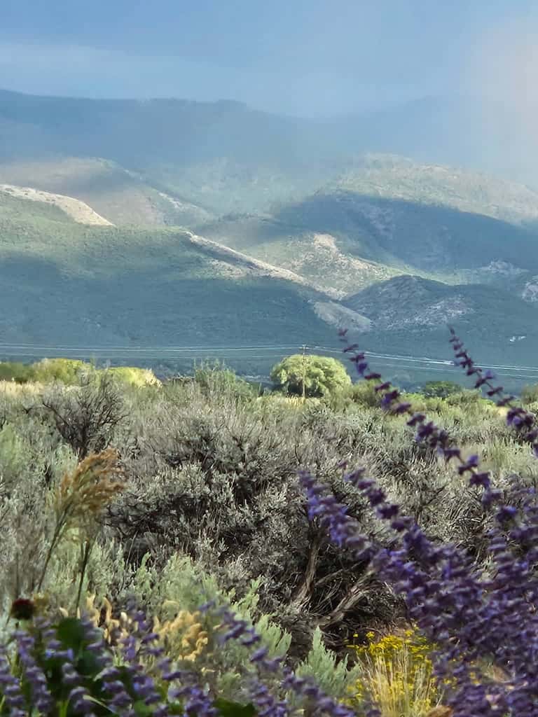 Hora Feliz - Mountain Views, Hot Tub & Game Room