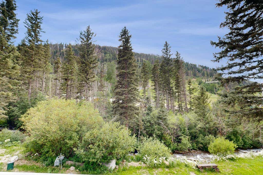 Sierra Del Sol 30 - Hot Tub, Walk to Lifts & Town