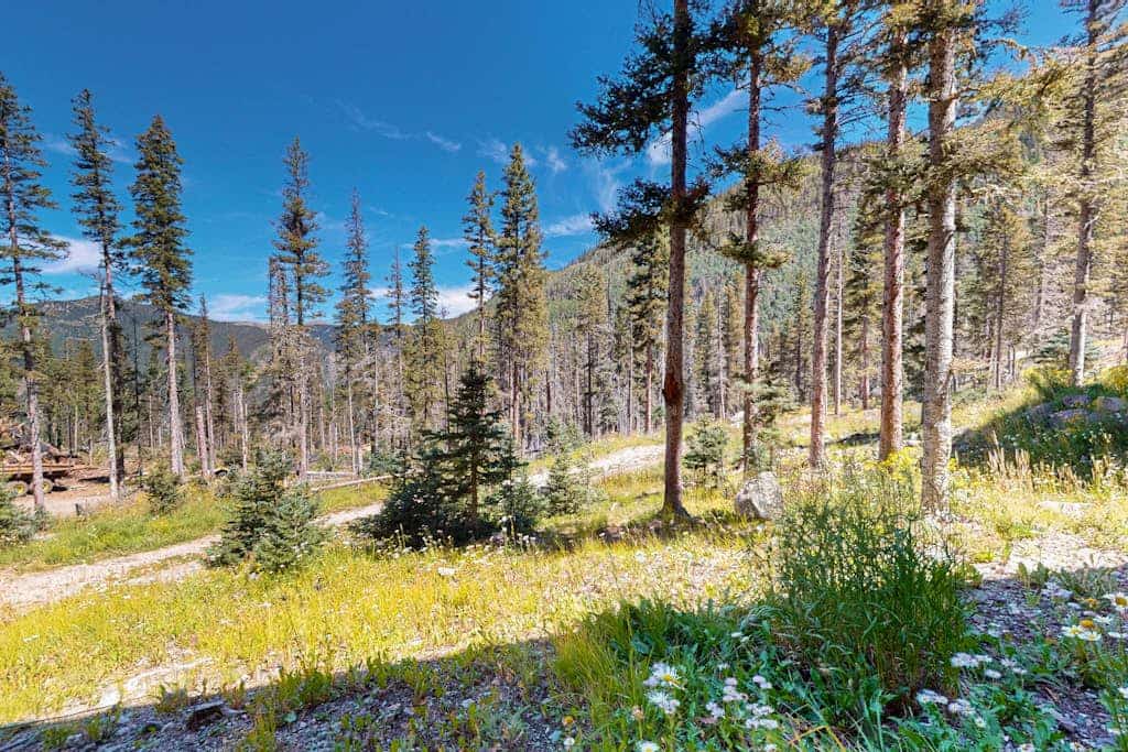 Wheeler Peak #201