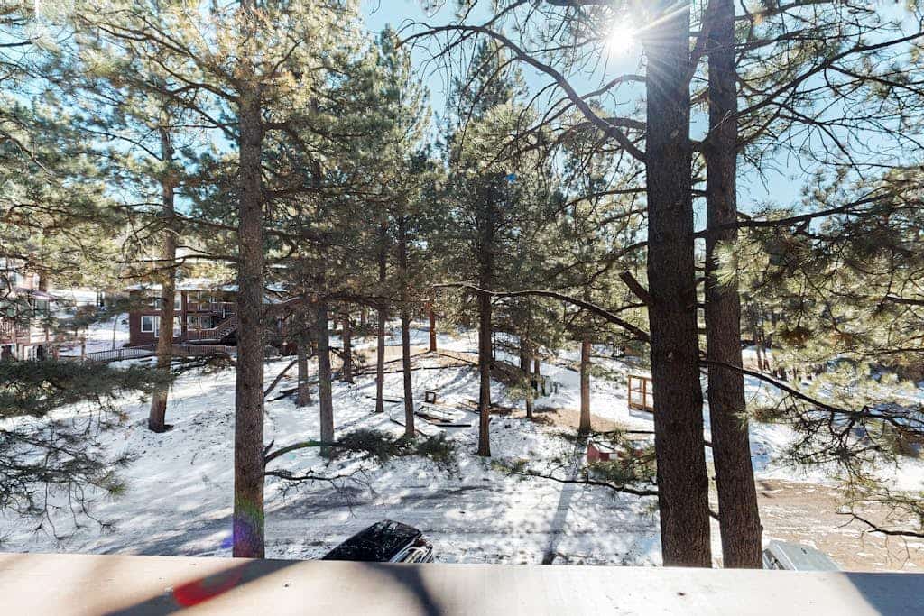 Redwood Commons B12