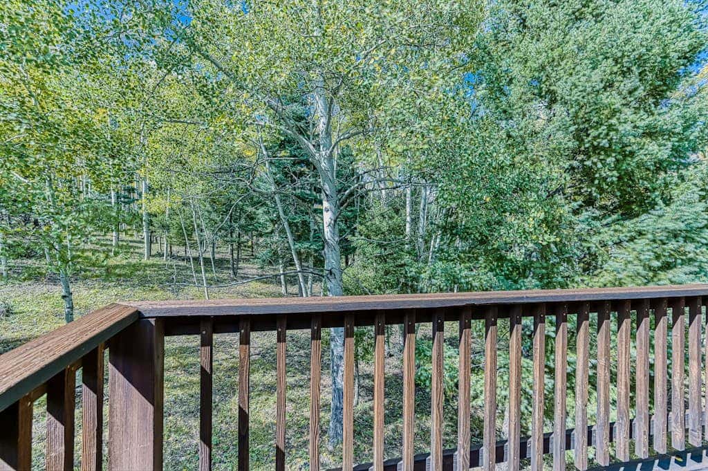 Trailhead Retreat - 3 Acres, Views, Hot Tub & Sauna