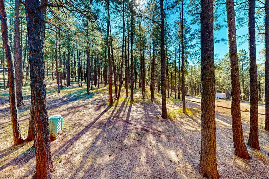 Pinetree 213 - Walk to Ski, Hike, Bike & Dining