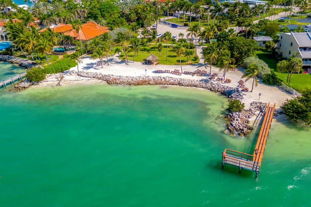 KC204 - Carpe Diem - Seas The Day