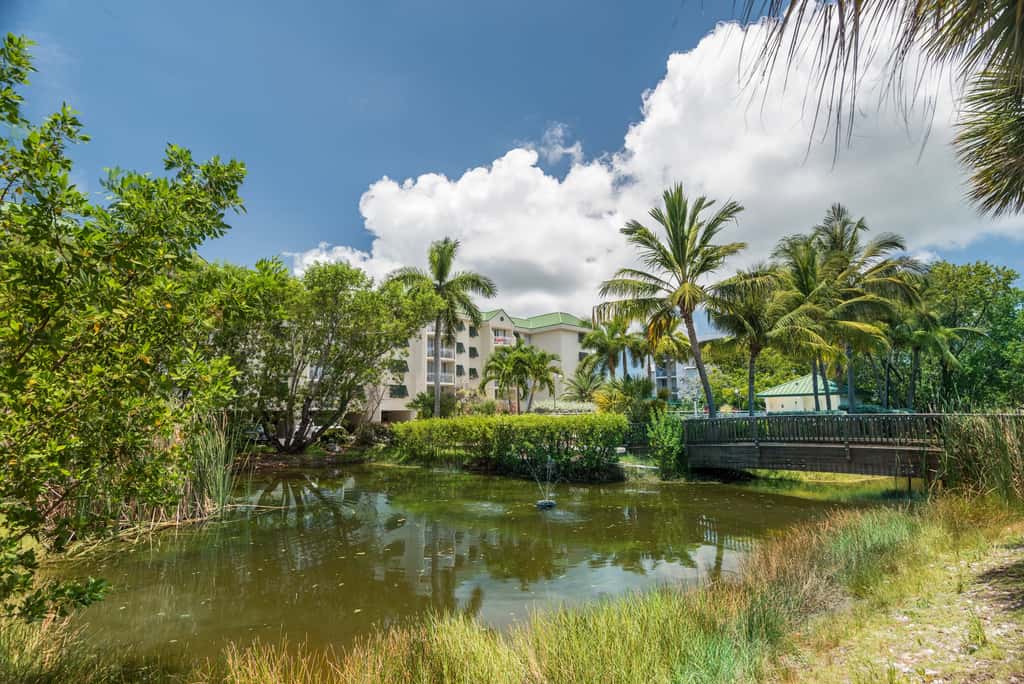 KWSS201 - Sunrise Suites - Saint Lucia Suite 201