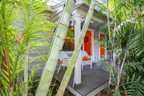 Cozy, Dog-Friendly Townhome with Shared Pool & Courtyard - Walkable Locale