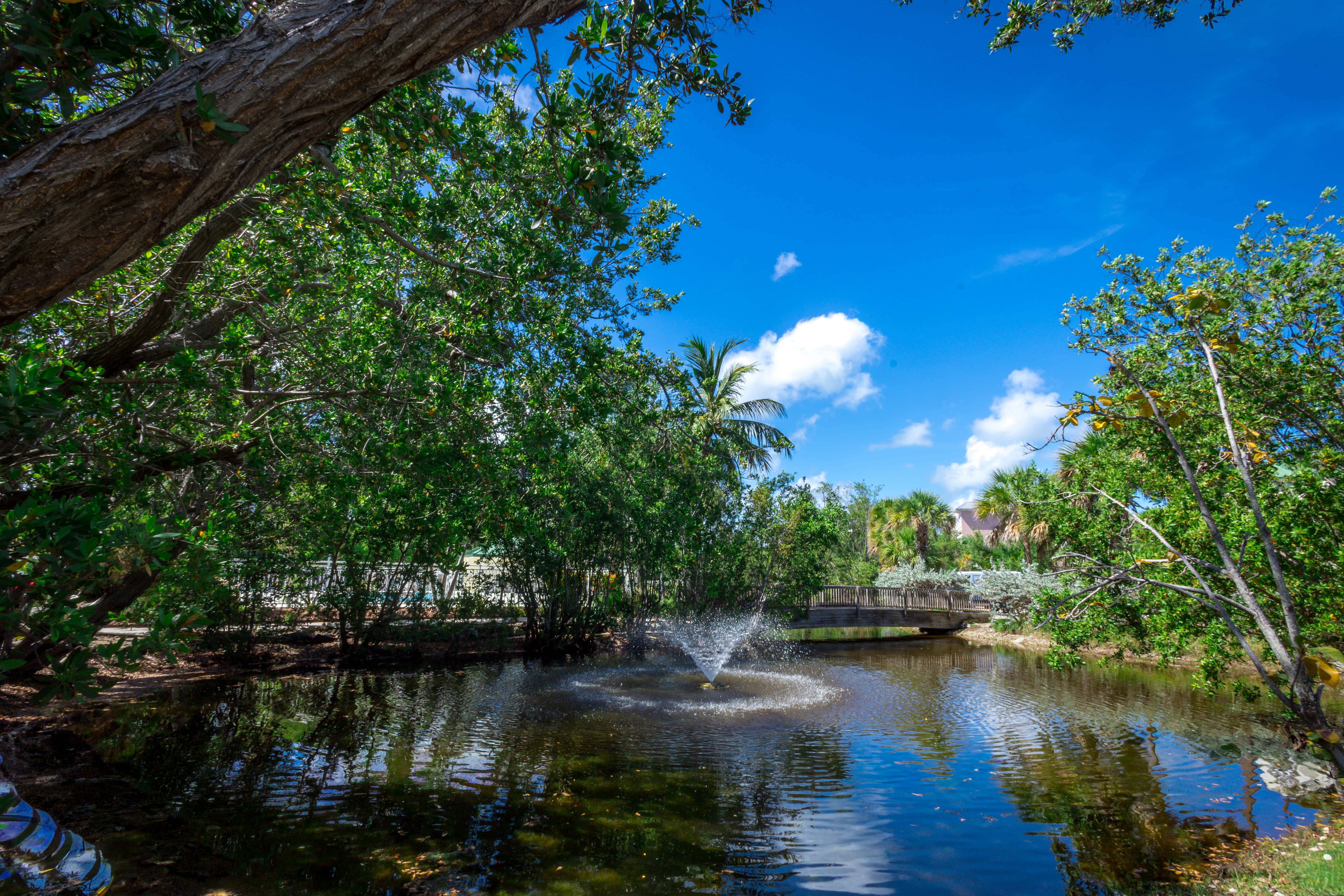 KWSS407 - Sunrise Suites - Paradise Escape 407