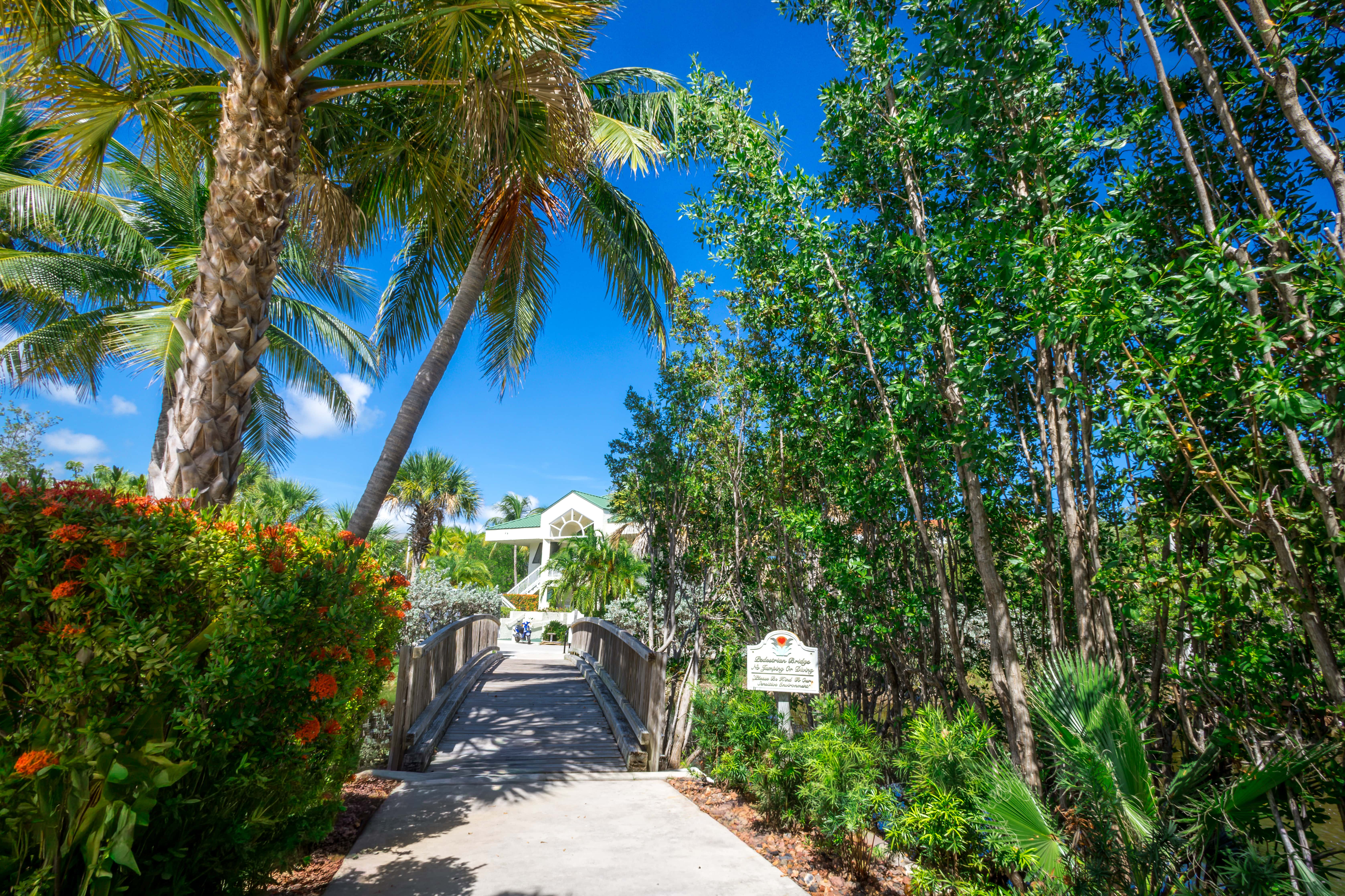KWSS407 - Sunrise Suites - Paradise Escape 407