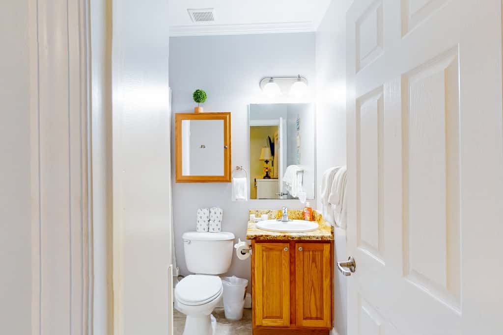 BAY364FLR - Coral Queen Palm