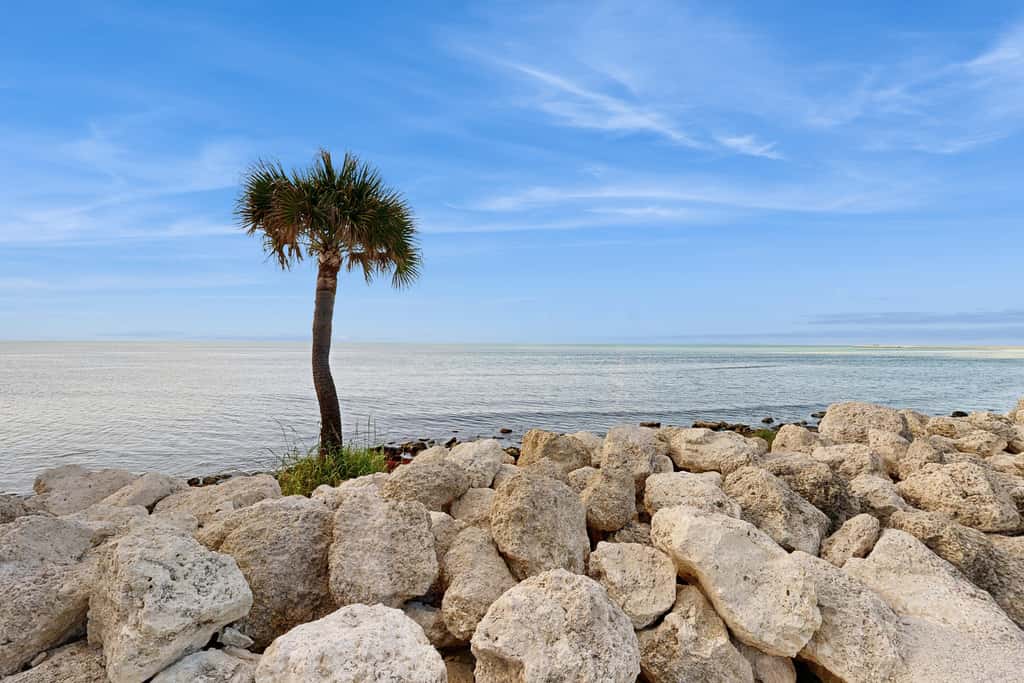 KW23 - Atlantic Ocean View