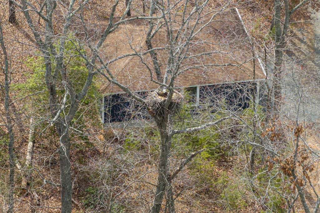 Great Escape at Eagle's Nest
