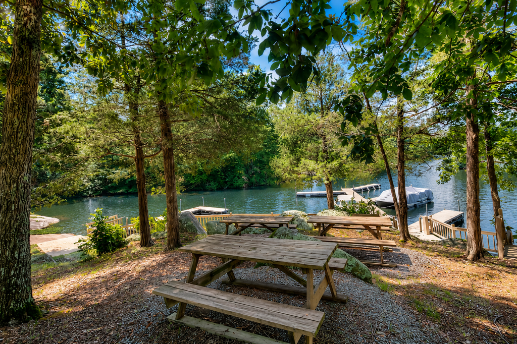 Three-story dog-friendly home with large deck, wood swing, firepit, lawn, & more