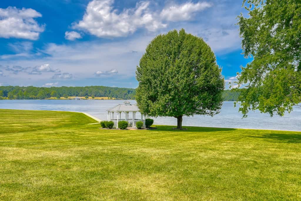 Viewtopia