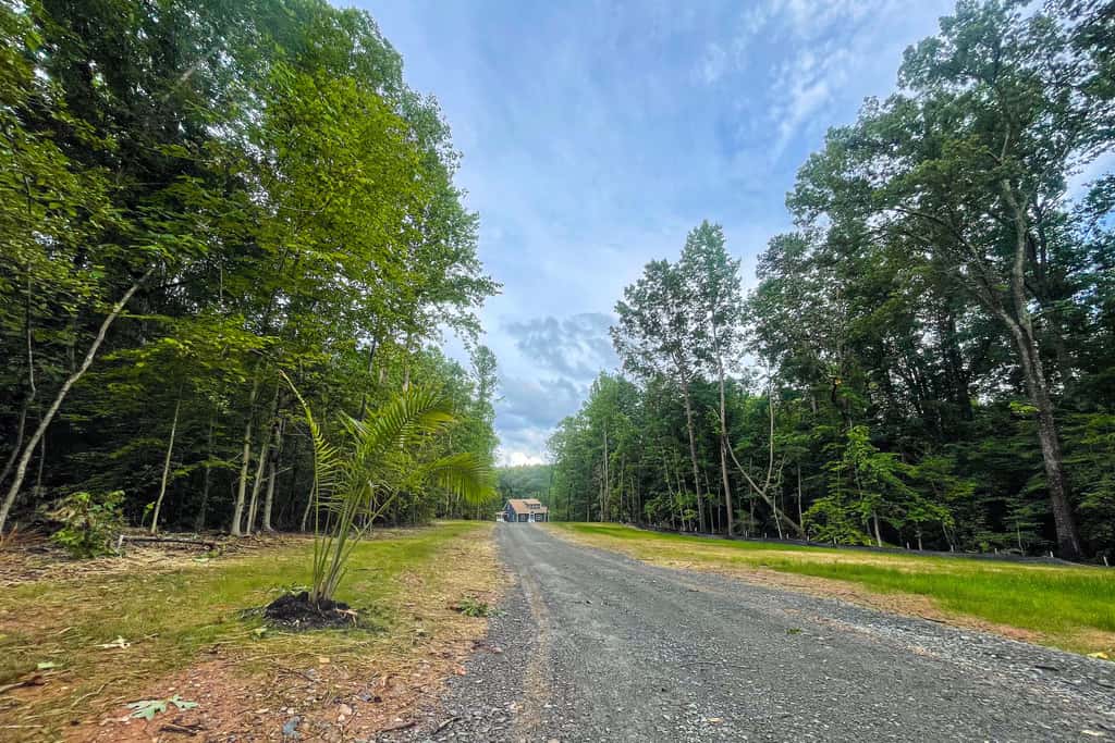 Castaway Cove