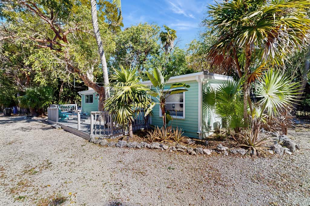 The Tree Lane Fish Camp
