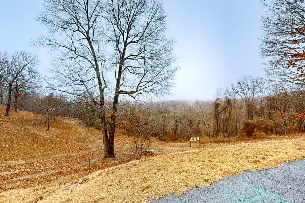 Serene 1BR Condo - Valley Views - Community POOL