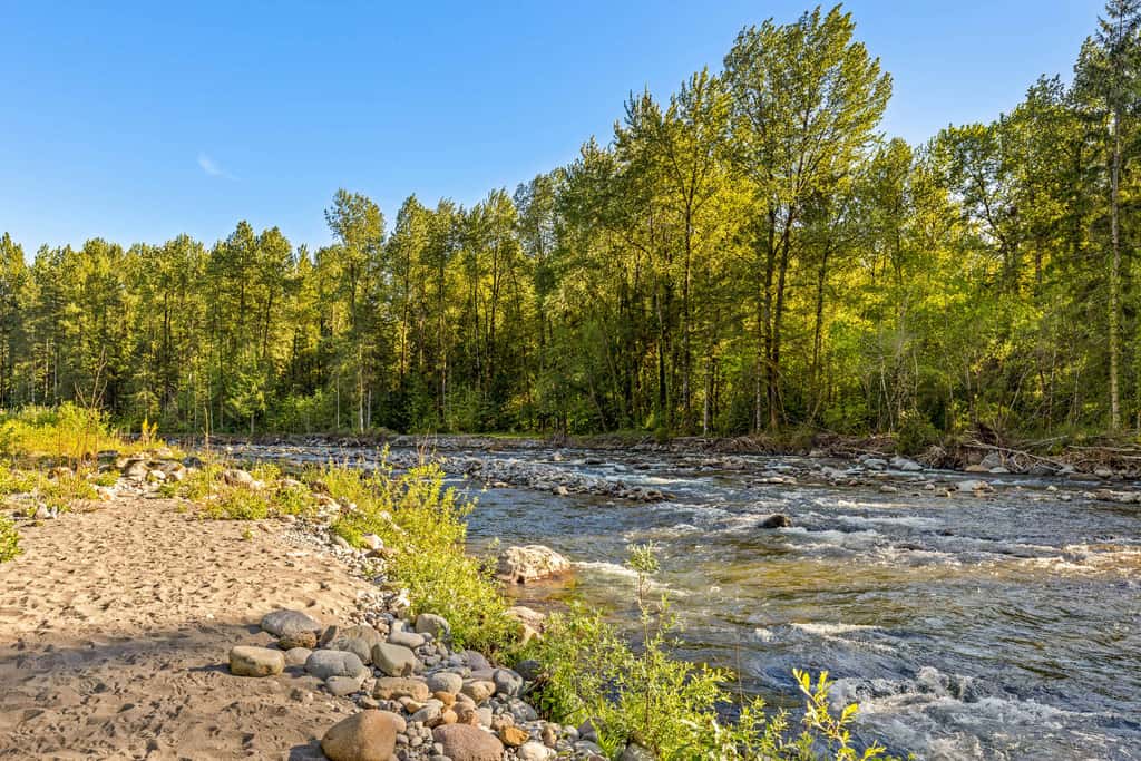 Riverfront retreat with panoramic river and forest views