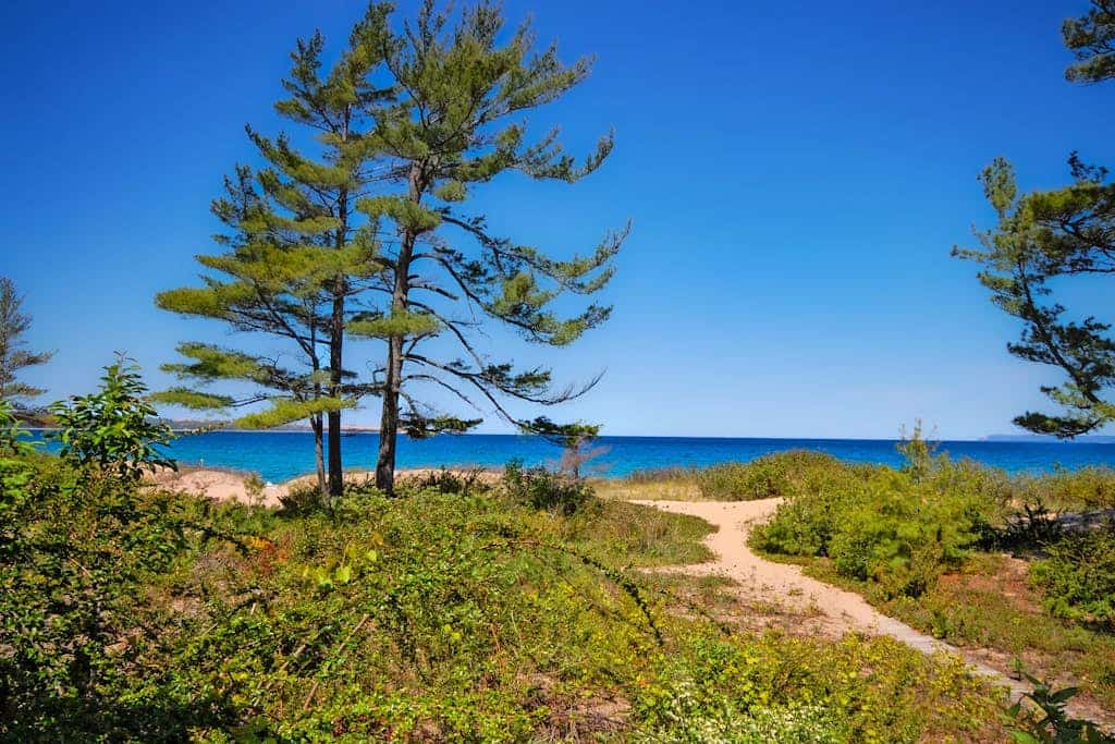 Beachfront condo in Glen Arbor with deck, fireplace, Lake Michigan views & W/D