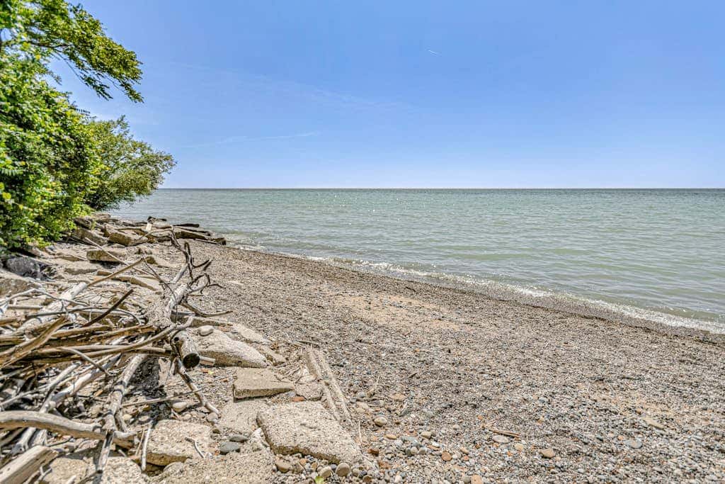 Bluffs Cove