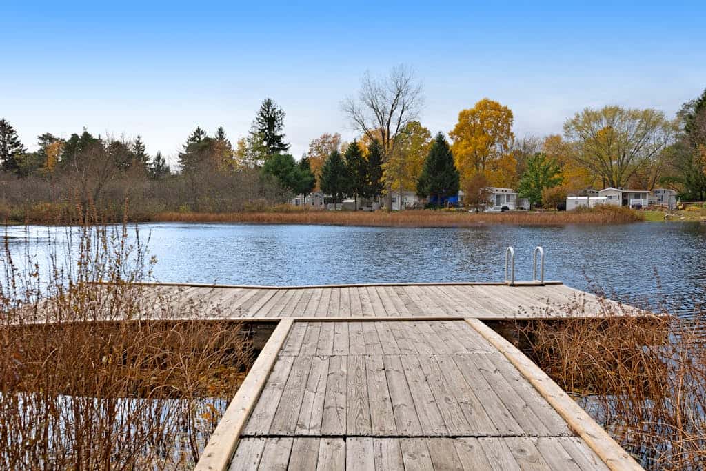 Kingfisher Cove Cabin 2
