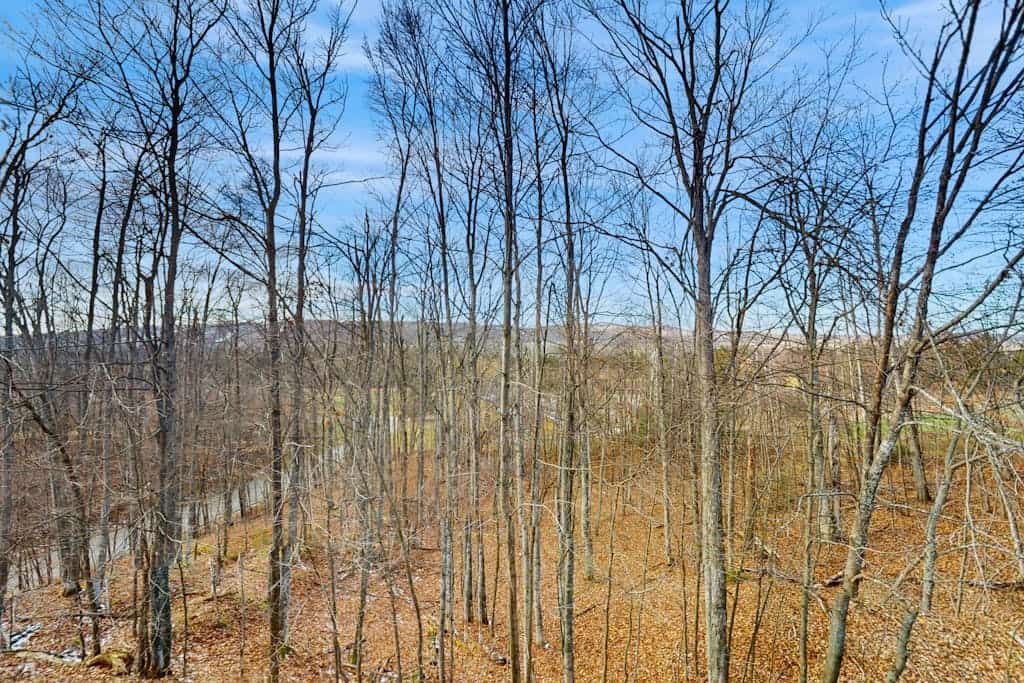 Beautiful 2B/2B Harbor Springs Condo Just 6 Mi to Lake Michigan!