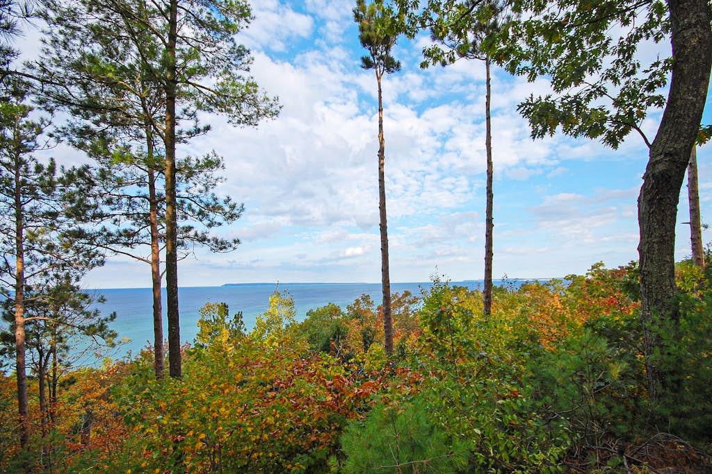Hawks Nest 58