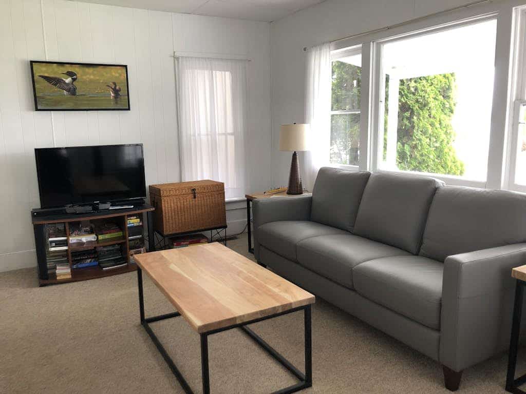 Pleasant lake house w/ free cable, guest kayak, set on trail - dogs allowed