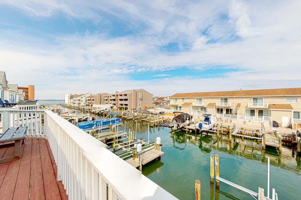 Dolphin Bay