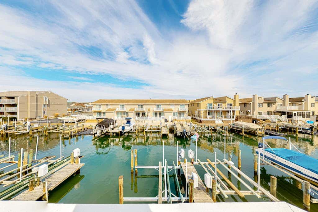 Dolphin Bay