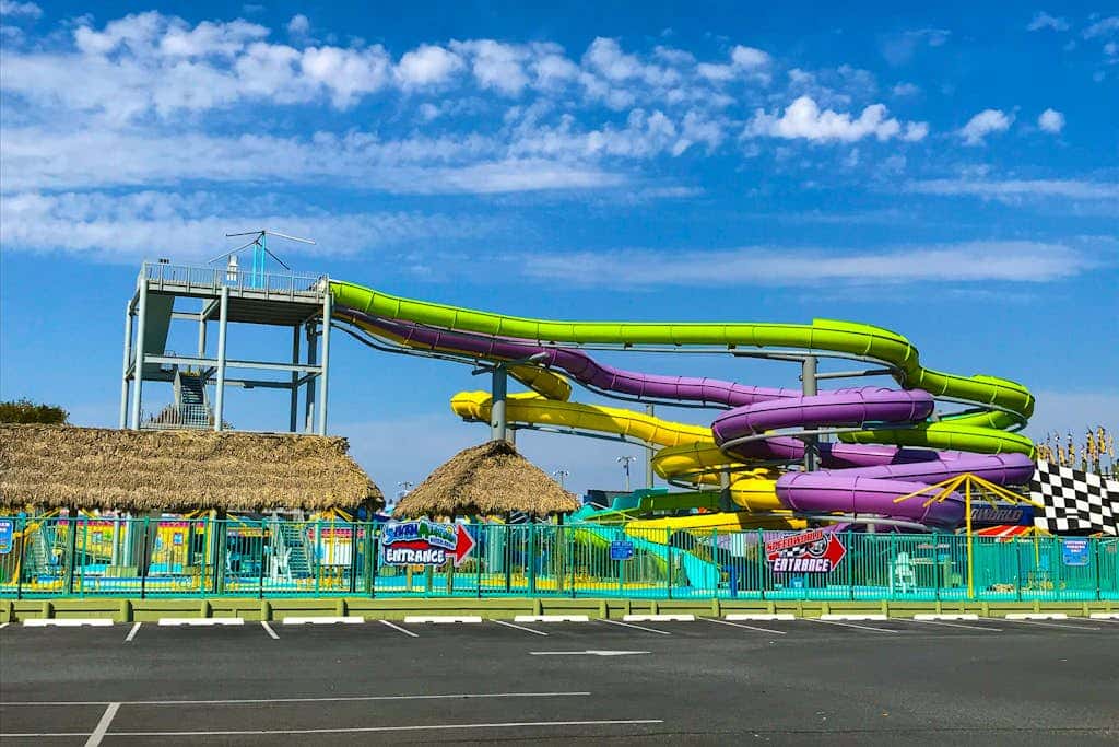 Dolphin Bay