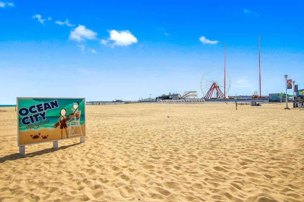 Roomy Condo near the Beach w/Free WiFi, Washer/Dryer, Shared Pool, Gym, & Sauna