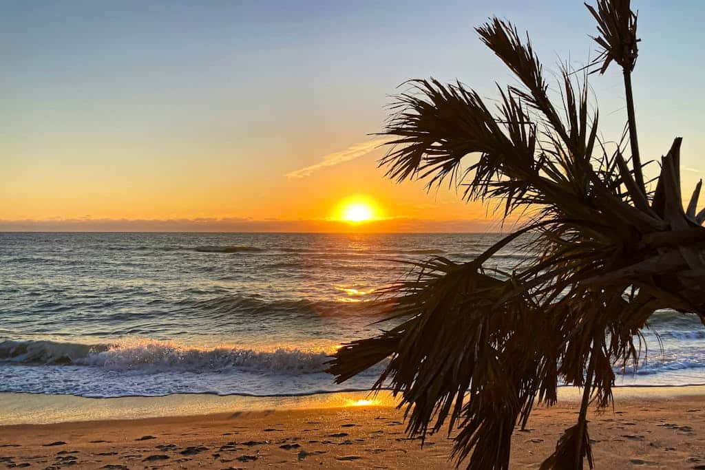 Sun and Sand Oasis