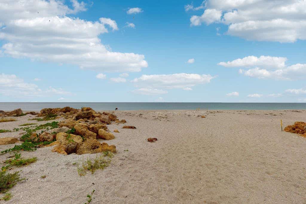 Single-story home with private yard, AC, & W/D - walk to beach, & dog-friendly