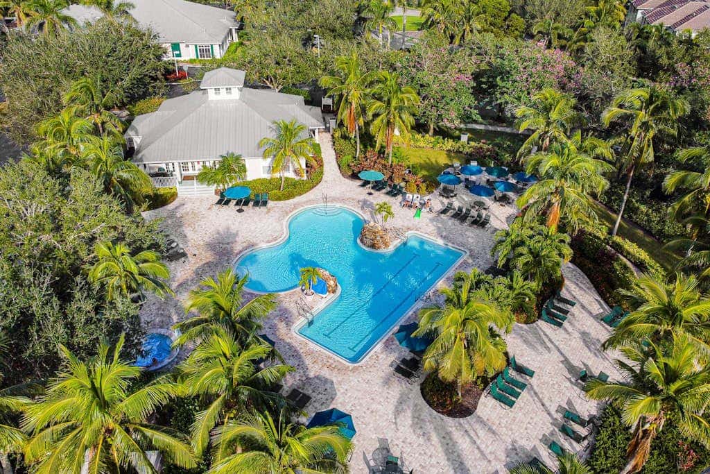 Royal Palm