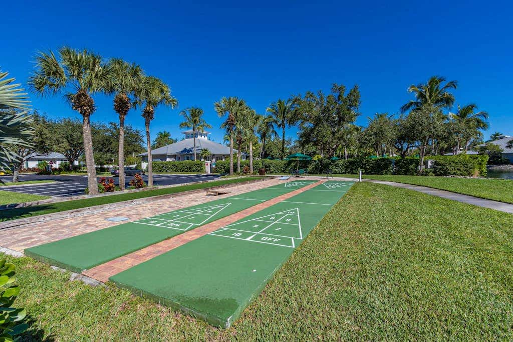 Royal Palm