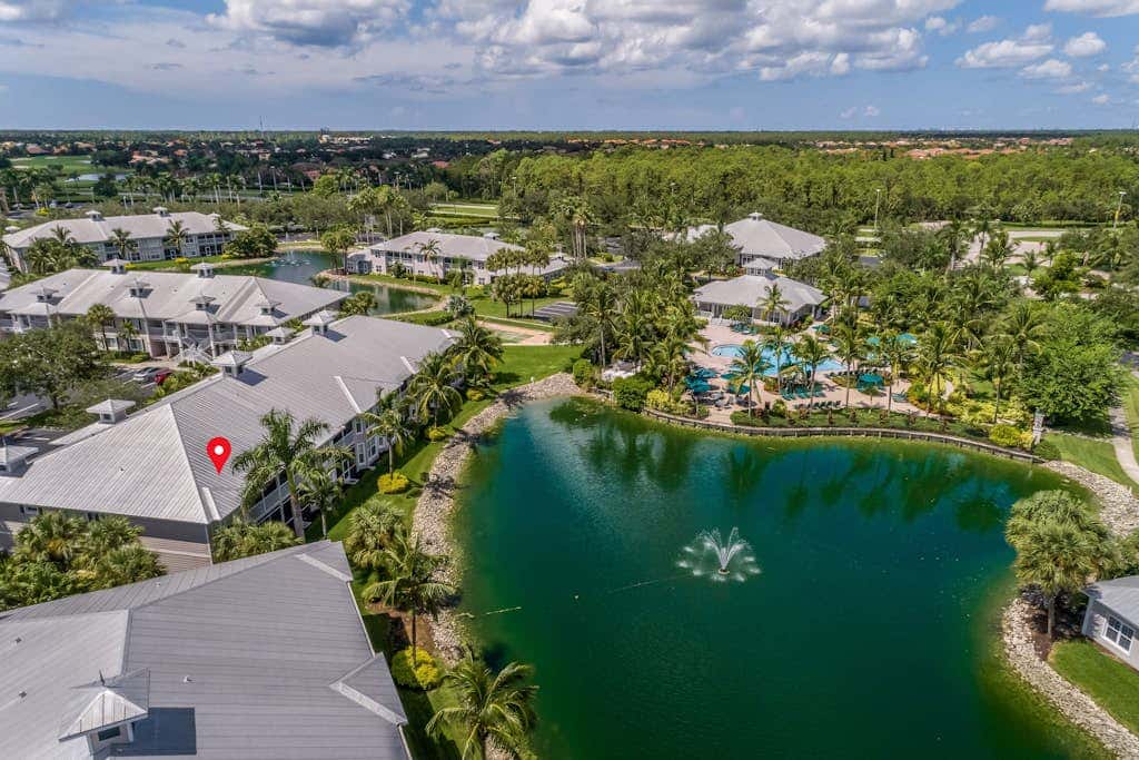 Royal Palm