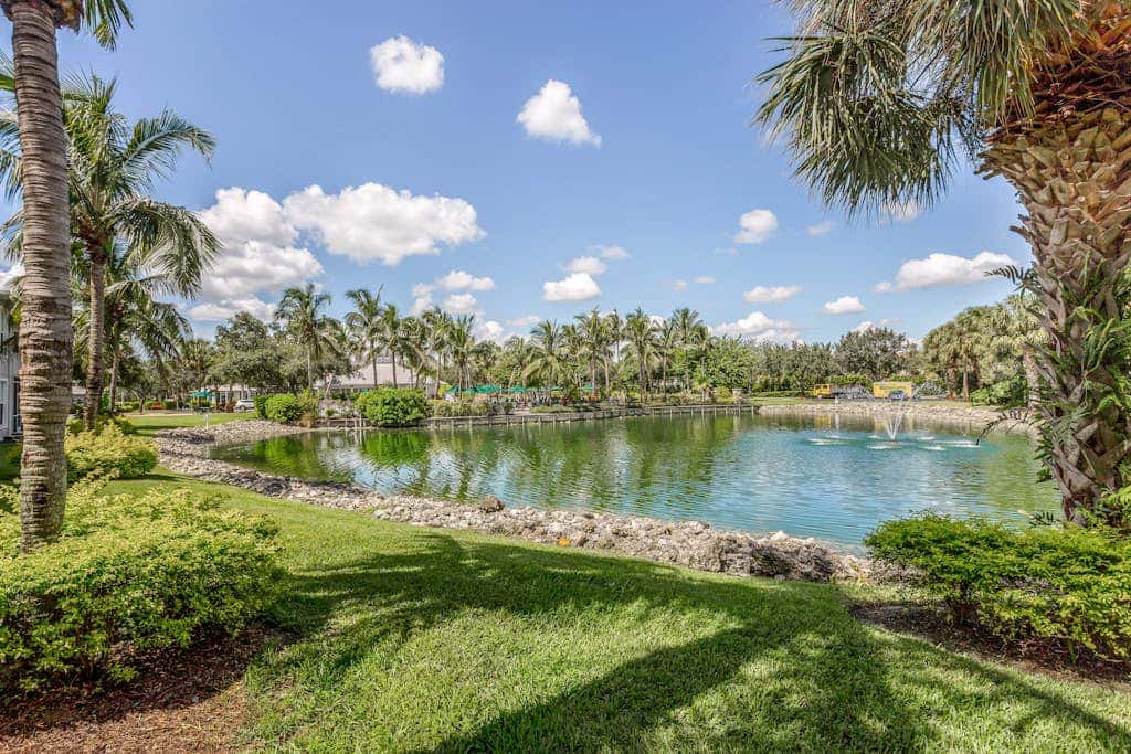 Royal Palm
