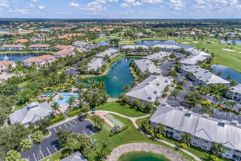 Royal Palm