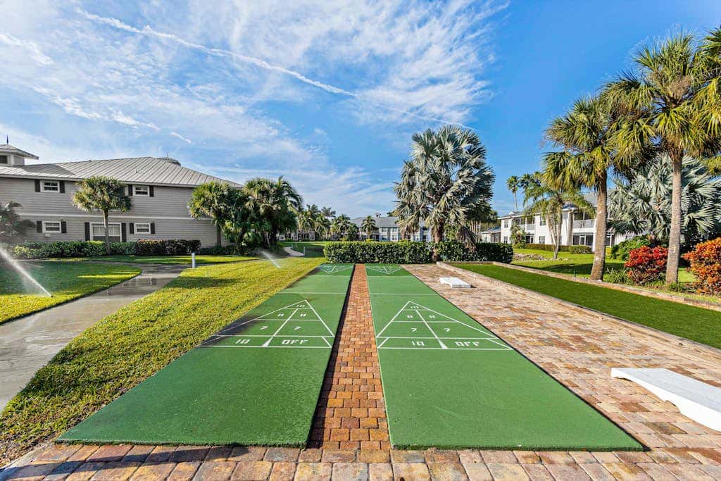 Royal Palm