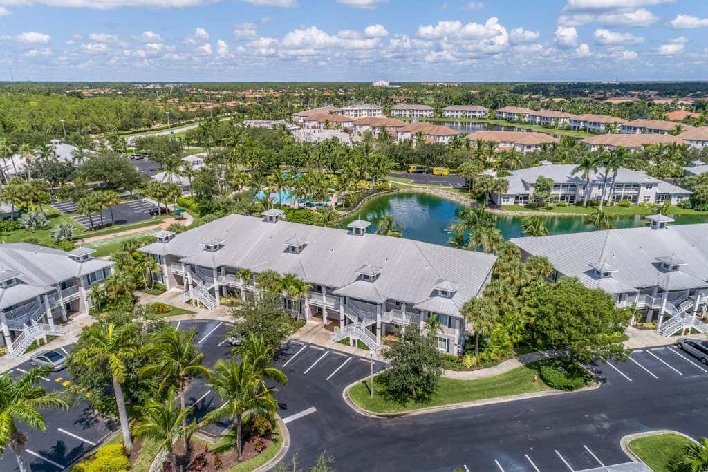 Royal Palm